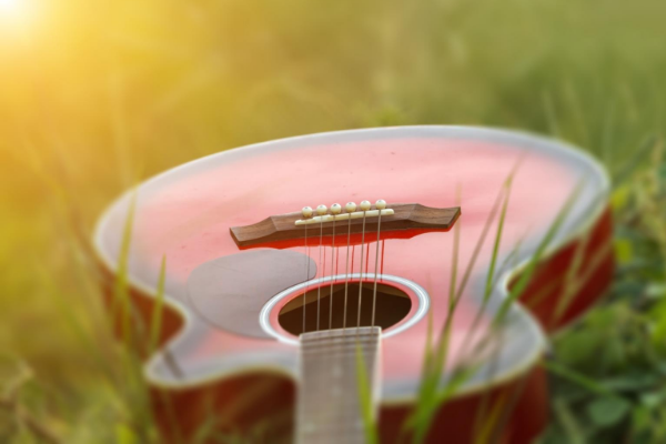Guitar Gleaming in the Sunshine